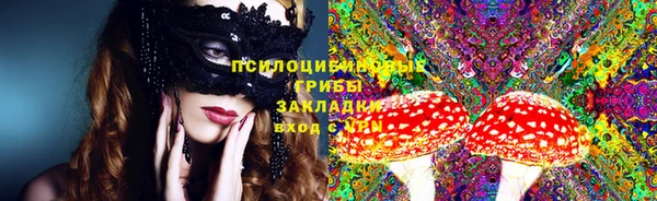 стафф Карпинск